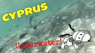 Cipro sott'acqua | Cyprus Underwater | Meraviglie marine