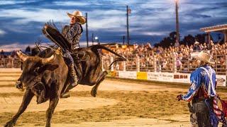 ll Beer Never Broke My Heart ll Bull Riding Edit