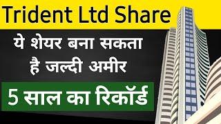 Trident Ltd Share News Today | Trident Ltd Latest News Today | Stock Market