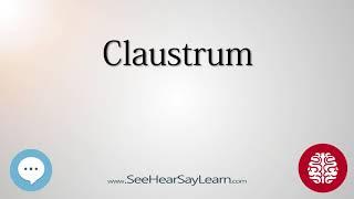 Claustrum   Anatomy of the Brain   SeeHearSayLearn 