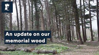 Explore our memorial woodland walk | University of Nottingham