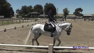 Amanda Boyce on Sean O'Connor Dressage Thru The Years