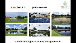 Lake fixer 2.0, Remove algae naturally, solve your algae problem, achieve pristine water in 3 weeks