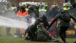 Собаки и водомёты: в Амстерадме разогнали протест против карантинных мер