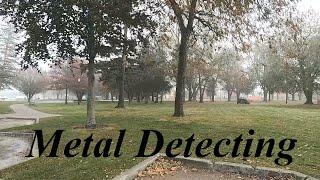 This Park Keeps on Giving! Metal Detecting.