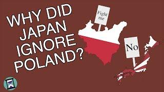 Why did Japan refuse Poland's declaration of war in WW2? (Short Animated Documentary)