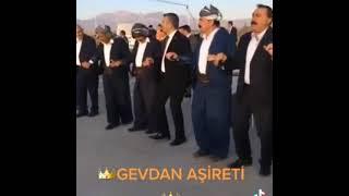 Gewdan Aşireti Düğünü Berke Banya Şarkısı