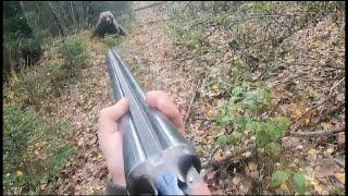  Встреча с МЕДВЕДЕМ в лесу... ( bear attacks russian man )