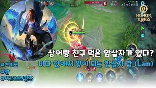 (王者荣耀) (澜) 상어와 친한 암살자 람 (Lam) | 아너 오브 킹즈 | Honor of Kings | 츠키코
