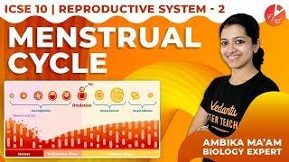 The Reproductive System L2 | Menstrual Cycle | Vedantu ICSE Biology Class 10 | @VedantuClass9_10_11