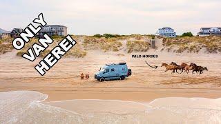 VAN LIFE | Driving TINY HOME on off-road 4WD Beach | Winnebago Revel (OBX)