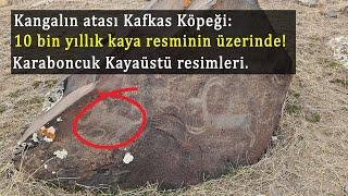 Kangalın atası Kafkas Köpeğinin 10 bin yıllık resmi. Kars Kağızman Karaboncuk Kaya resimleri