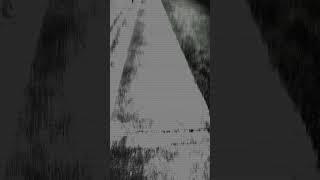 73737286-ANALOG/4/9/2074