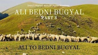 Ali Bedni Bugyal Trek Part 3- Ali to Bedni Bugyal | Uttarakhand