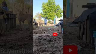#ytshorts #shorts #youtube #technology #trending #comedy #folks #sriyanshtechintelugu