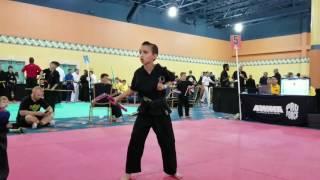 Aidan Fort kamas 2017 US open extreme creative open weapons form kata