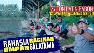 Rahasia Umpan Ampuh Galatama Ikan Patin