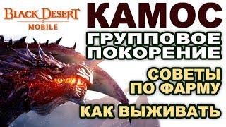 BDM: КАМОС. Тактика фарма. Советы как выживать в Black Desert Mobile (БДМ)