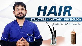 Hair Structure || Hair Anatomy And  Physiology Explain By Dr. Ankit Kumar Jain