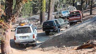 Shaver Lake Off-Roading | Bald Mountain | Brewer Lake OHV | Ford Bronco, Tacoma, Land Cruiser, F-150