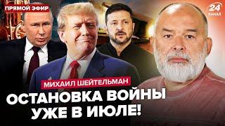ШЕЙТЕЛЬМАН: Трамп ПРИГРОЗИЛ Путину ЖУТКИМ! УЛЬТИМАТУМ Украины уже на столе в США. Эрдоган УДИВИЛ