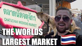 Inside Bangkok's Infamous Chatuchak Market