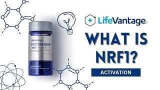 Lifevantage Product | Protandim NRF1 Synergizer