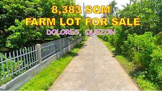 FARM LOT FOR SALE ( PROP.# 87 ) 8,383 SQM , DOLORES, QUEZON