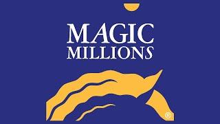 2024 Magic Millions Perth Winter Yearling & Thoroughbred Sale