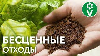 ОСТАНОВИТЕСЬ! Вы выбрасываете это УДОБРЕНИЕ ДЛЯ РАССАДЫ каждый день!