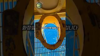 물고기가 청소부인 화장실