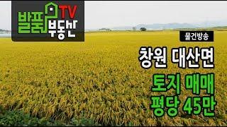 경남 창원 토지 매매  대산면  포장도로 접한 상승가치 매 평당 45만