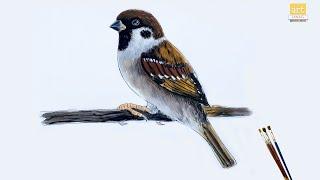 Sparrow Drawing II Sparrow painting II Sparrow II #artjanag