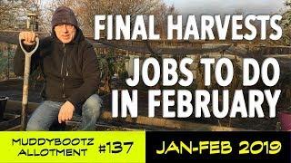 MuddyBootz Allotment #137 - Final Harvests - Jobs for February - Seed Sowings