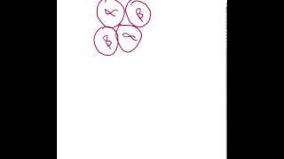 Shape of the Oxyhaemoglobin Curve