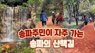 가을에 걷기 좋는 송파 산책길 BEST3_도심 속 숲길! _맨발 걷기도 가능!