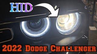 2022 Dodge Challenger Hid ballast replacement Remove headlights Fix
