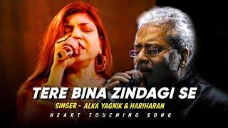 Tere Bina Zindagi Se Koi Shikwa To Nahi - Alka Yagnik, Hariharan | Dil Vil Pyar Vyar