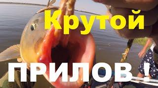 Крутой Прилов!