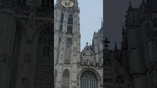 Onze Lieve Vrouwe / Cathedral of Our Lady #antwerp #shorts #belgium #travelvlog #travel #europe