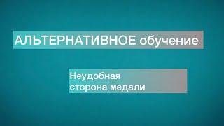 АЛЬТЕРНАТИВНОЕ обучение . Учитель ударил ребёнка .