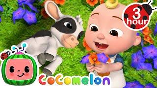 JJ Plays With His Baby Farm Animals  CoComelon Nursery Rhymes & Kids Songs | 3 HOURS | After School