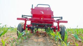 520 Tractor Finger Weeding Corn - Tilmor Works Episode #2