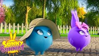 SUNNY BUNNIES COMPILATIONS - SUMMER SUN FUN | Cartoons for Kids