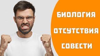 Биологическая природа психопатии.  Влияние генов на психопатию