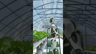  Can AI Robots Take Care of Plants Like Humans? #ai #robot #technology