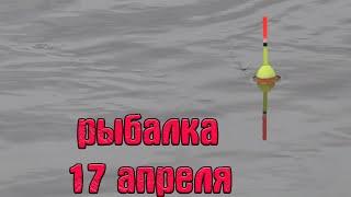 НЕ ОЖИДАЛ ПОЙМАТЬ ЭТИХ РЫБ В РЕЧКЕ. Рыбалка на поплавок 17 апреля 2024.