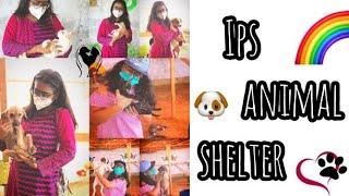 Animal shelter VLOG (FINALLY!) ft. A Special Puppy // Jeya Kumari