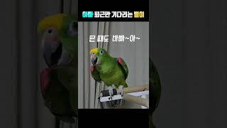아빠 퇴근만 기다리는 별이!           은재 오빠는 조용히해~~