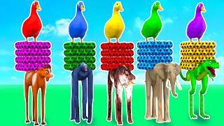 Max Level Long Legs Long Slide Game With Elephant Gorilla Buffalo Hippopotamus Tiger